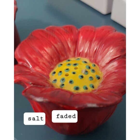 Pier 1 Imports Poppies Salt & Pepper Shakers - Picture 4 of 6